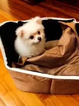 XsPXQwhHUvW2phah5xPfrd