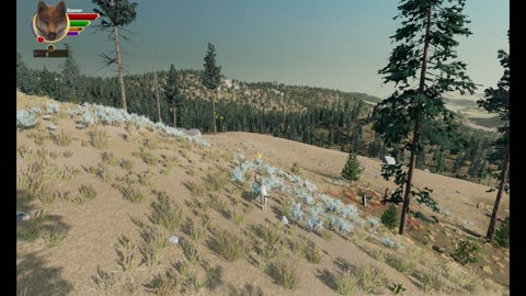 Wolfquest Ultra Iron Wolf Challenge- 02