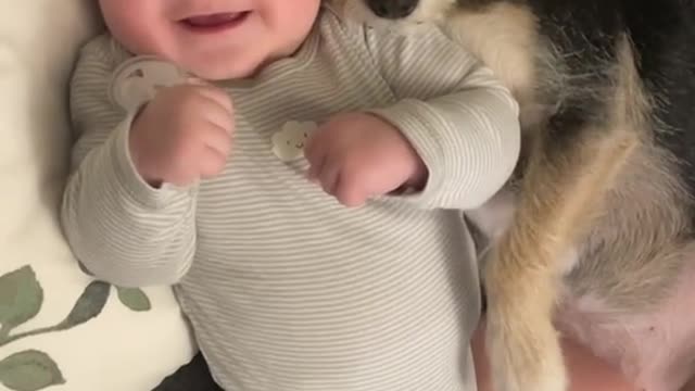 Cute Baby and dog sleeping togather and enjoy funny #Dogbaby#Dog#baby