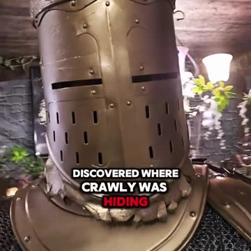 CRAWLY!!! 👑🚨🏰