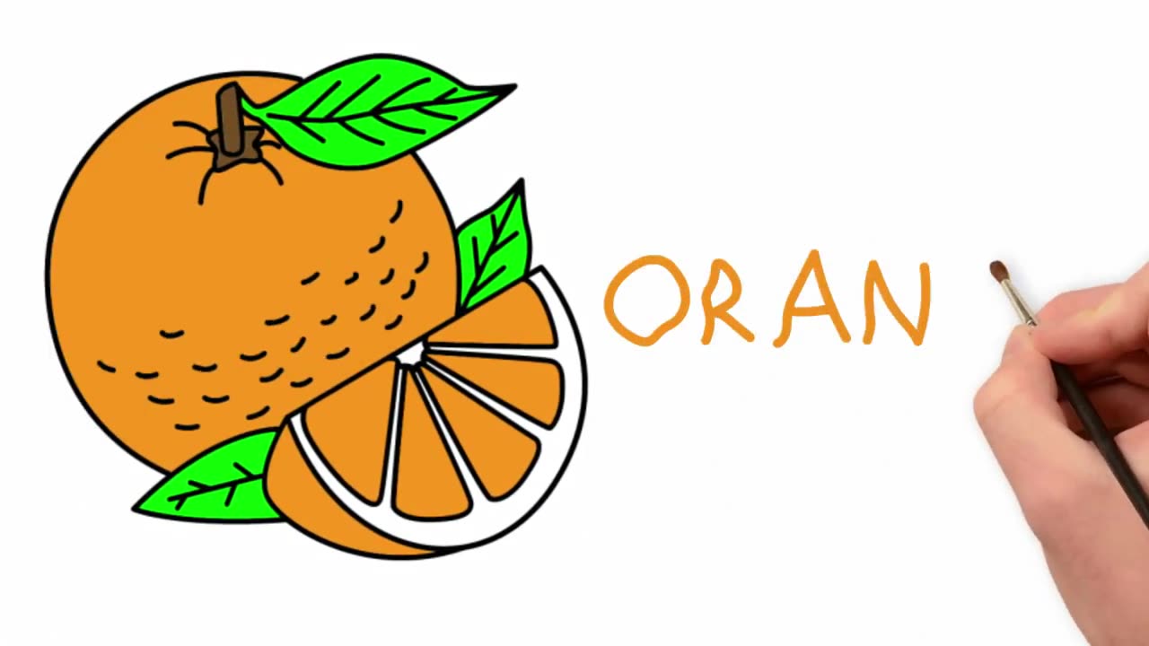 How to Draw Orange Easy Step by Step and Coloring for Kids