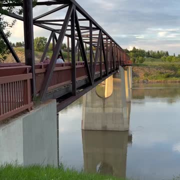 Huge Jungle in the city Edmonton Alberta Canada