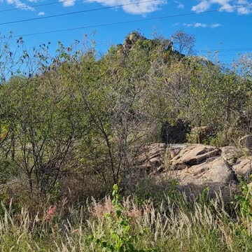 COISAS DO NORDESTE BRASILEIRO.