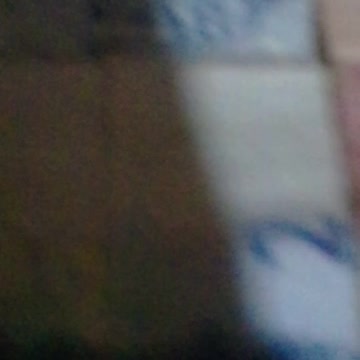 the money of life milionaria