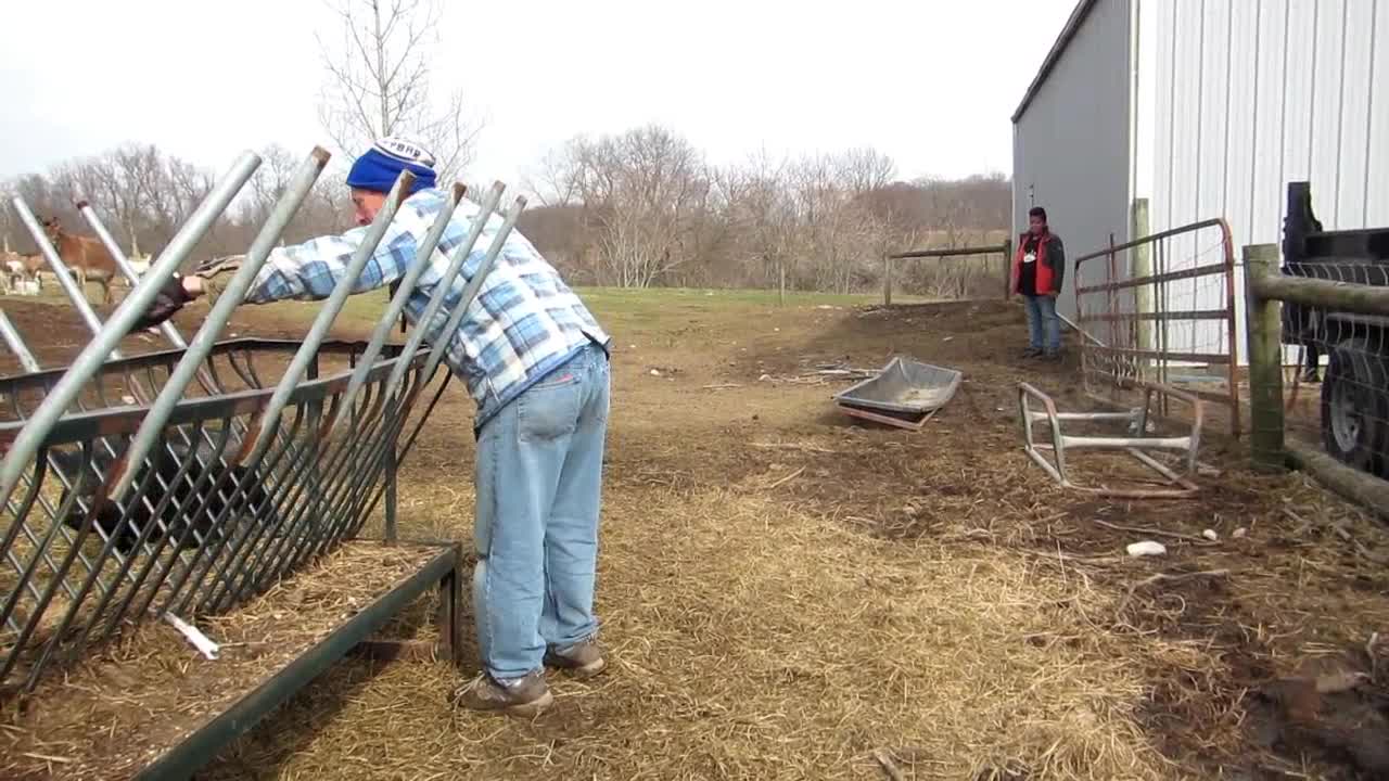 Rescuing Baby Piglet