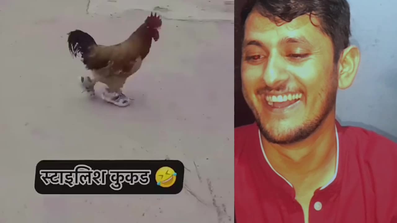 #Funnyvideo