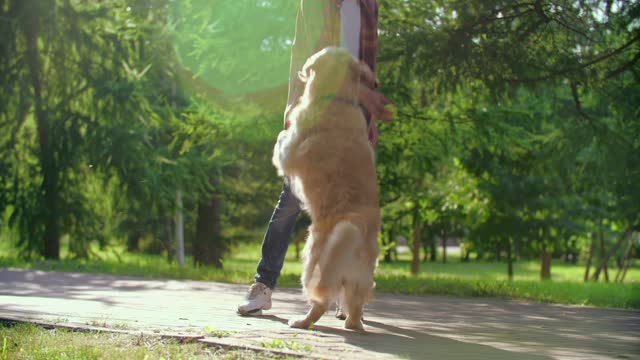 Dog and his owner playing together