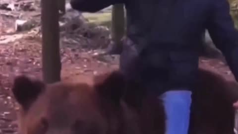 в комарово на недельке