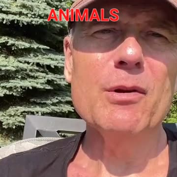 The Illusion of "Pet Love"