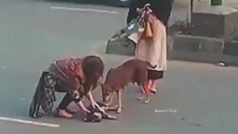 Humanity always first ❤️ Helping dog partner #short