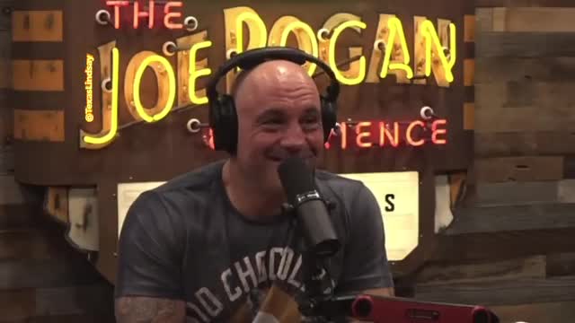 Joe Rogan tells his MASSIVE audience how to fight back: "Vote Republican"