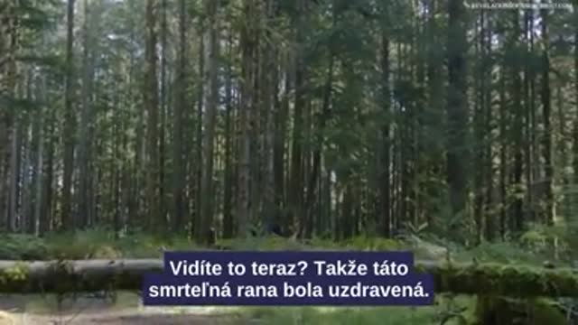 Symbol a "hnutí Q" je ve skutečnosti symbol hada a také označení pro Satanův [Q]uantum Financial System