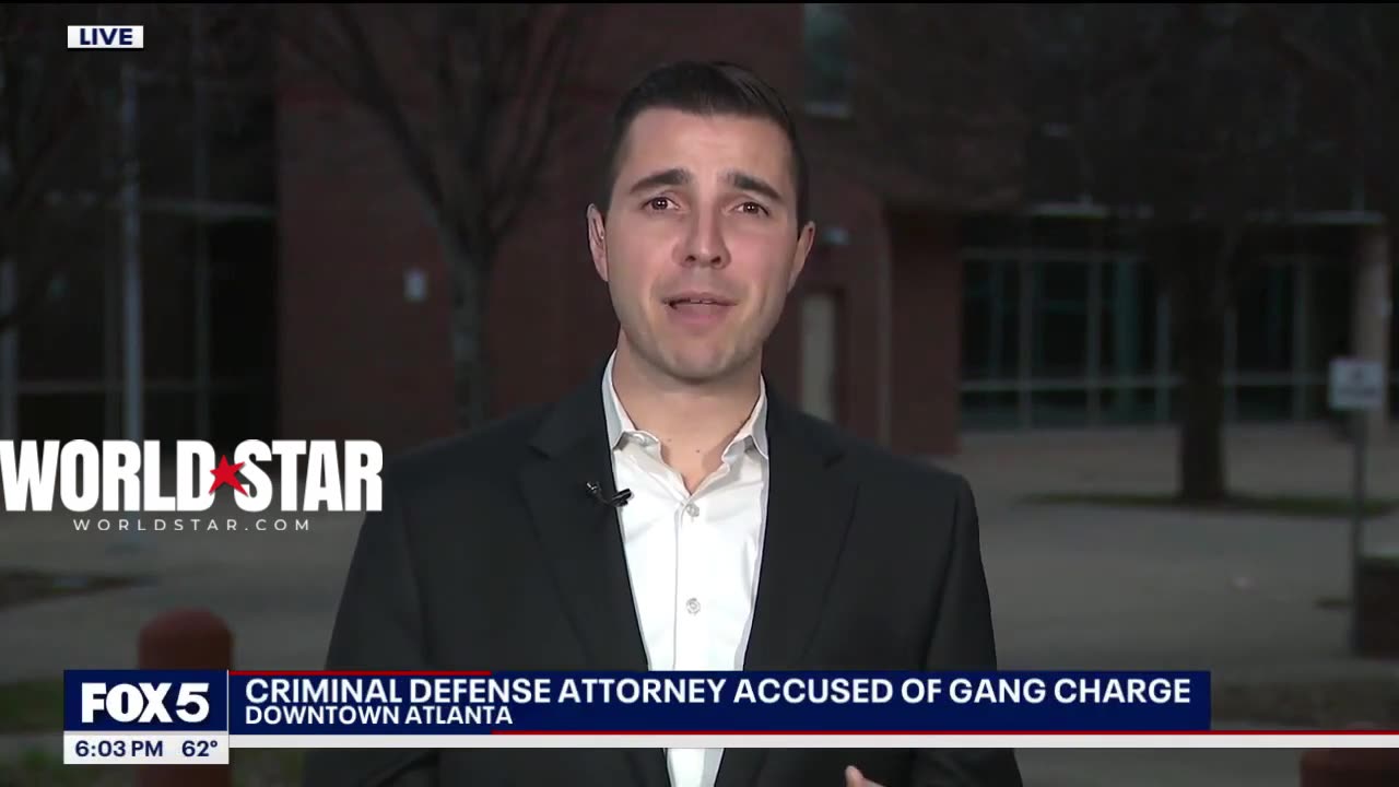 Young Thug YSL Defense Attorney Nicole Fegan Arrested