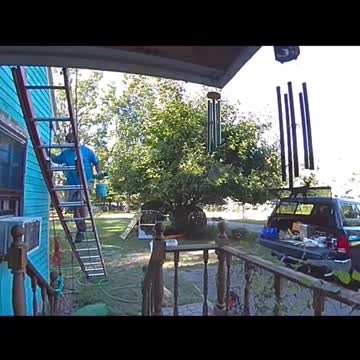 Most popular entertainment funny videos.