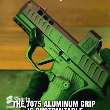 First Look_ New P365 | Flex 365XLC Sentinel from ShaloTek