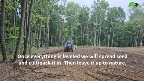 Putting the Finishing Touches on Food Plots in the Woods