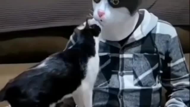 Funny Animals Video | Funniest Cats and Dogs Video 2022