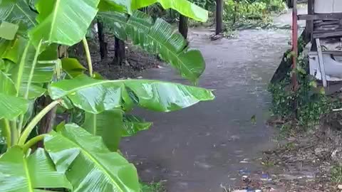 When HEAVY Rain Hits Phuket- the Street Becomes River