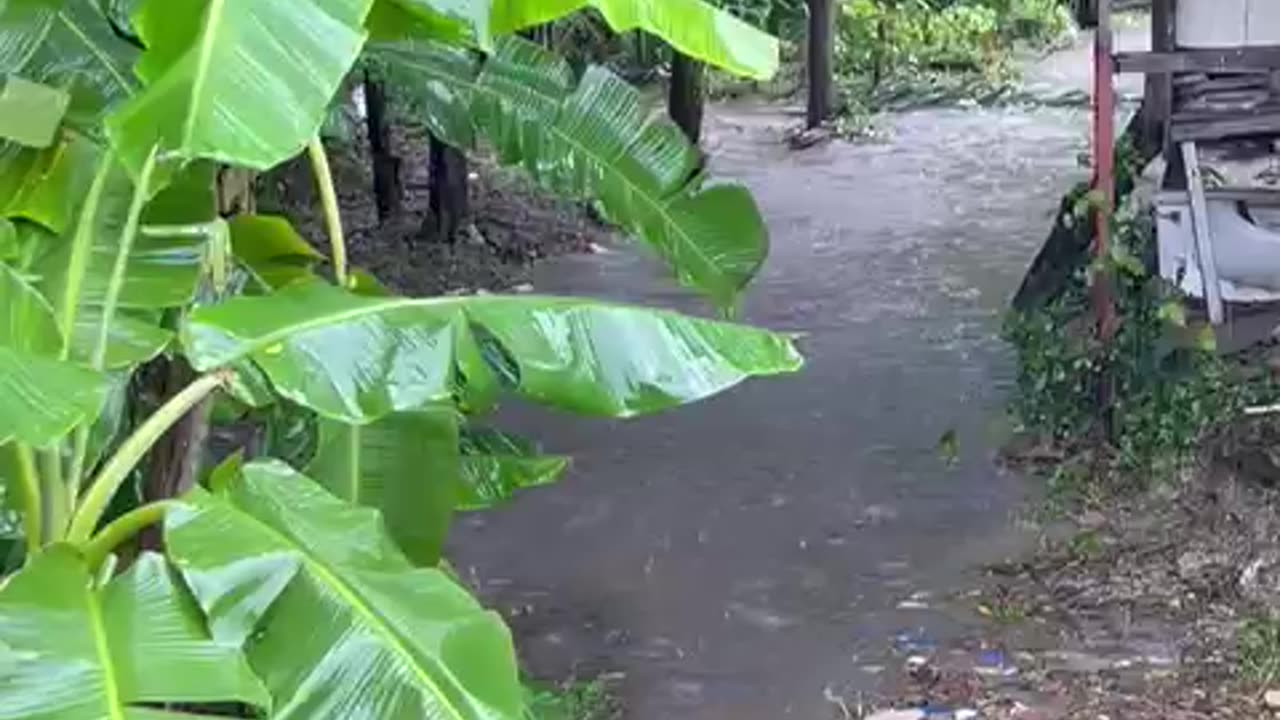 When HEAVY Rain Hits Phuket- the Street Becomes River