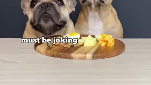 Hungry Dogs Reject snacks lol