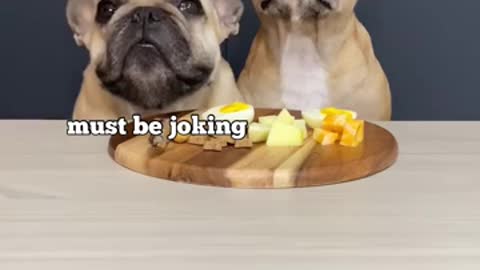 Hungry Dogs Reject snacks lol