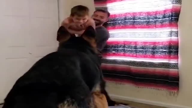 Father of the year 😂😂
