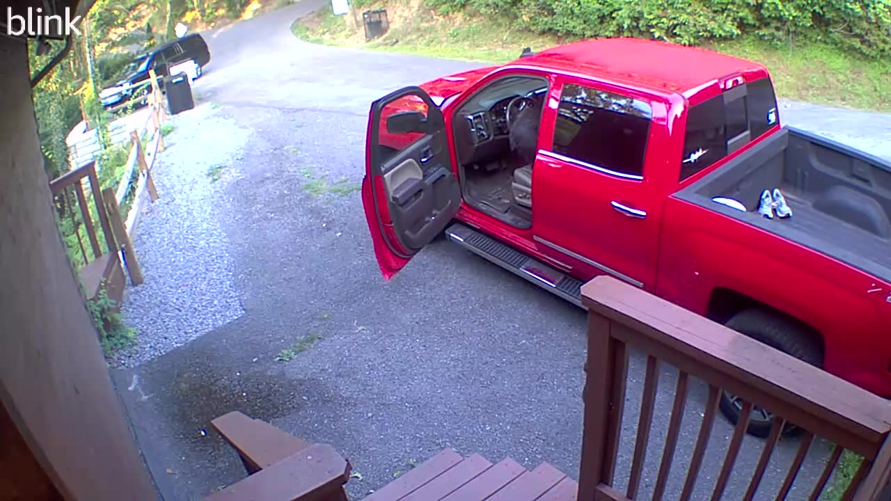 Black Bear Raids Unlocked Truck