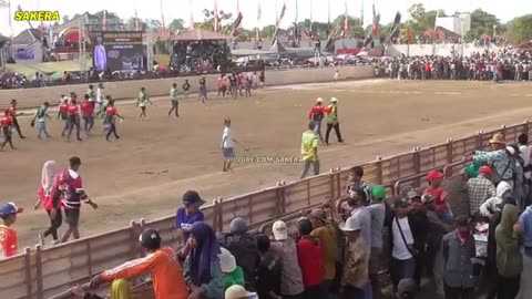 Final karapan sapi/ cow racing unique