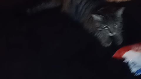RUMBLE RUMBLE BOXING TESLA