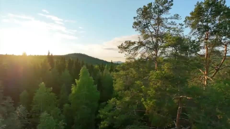 Somewhere deep in the forest of finnish lapland.