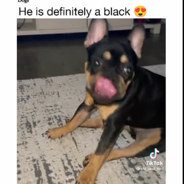 Rhythm is in the Mind First Then You Have Fun