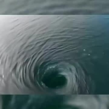 Deadly Ocean