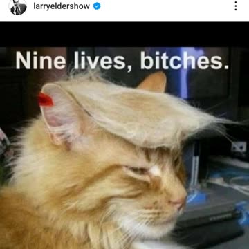 Love this! 😂 had to share. I added the background music.