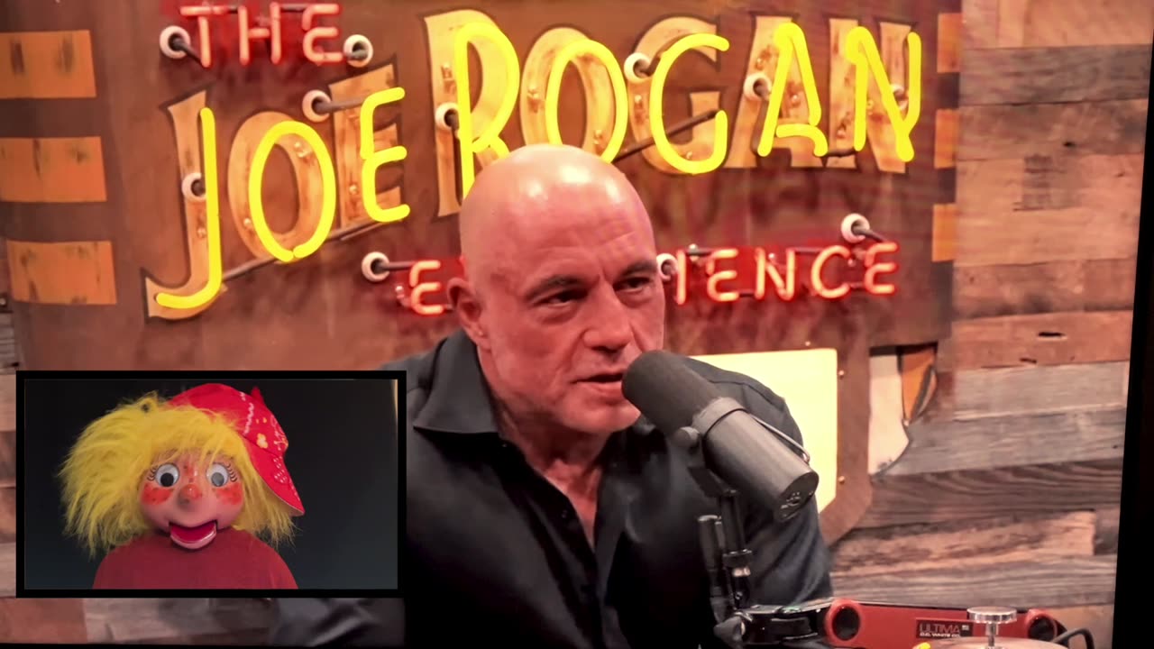 Joe Rogan Interviews Trump (Patsy Hoolahan)