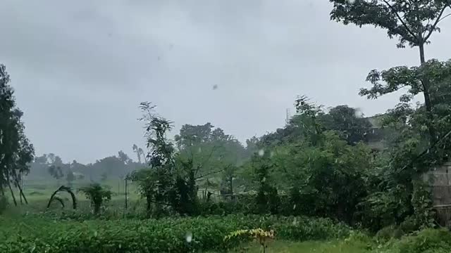 New Video Status Of Rainy Season || New Tiktok video of Rainy🌧️🌧️ Weather.