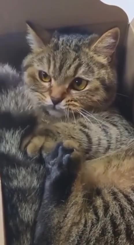 I think that’s a NO 😂