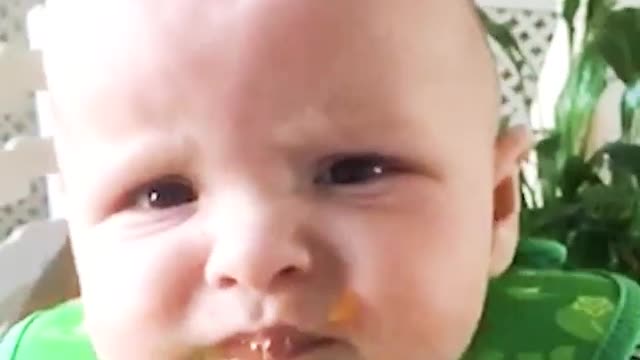 Food Tasting- Babies Edition