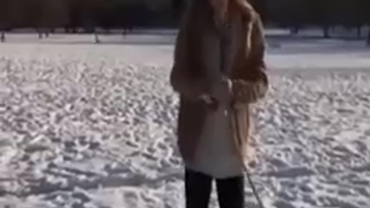 Best Funny Animal Videos 2023- Funniest Cats And Dogs
