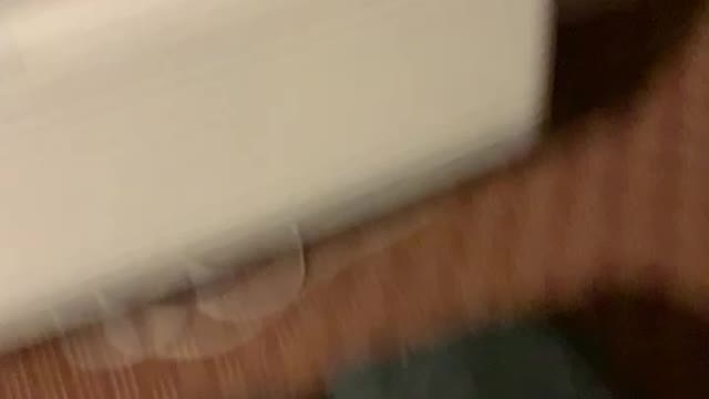 FBI stalking, assault Noise Campaign first hour back in Houston (Wyndham Baymont Inn) Part II