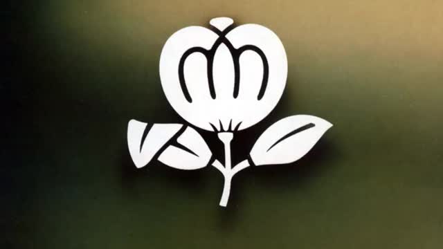 Fleetwood mac - Sara ❤❤❤