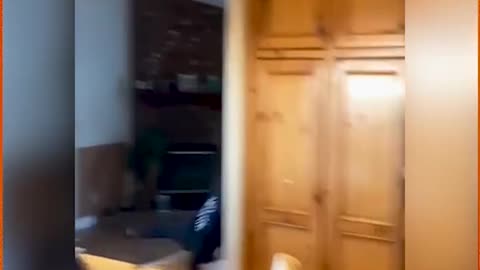 Unexpected antics that make for unforgettable memories!