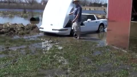 Corvette in pond.