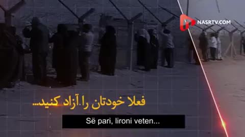 Hipokritër iranian
