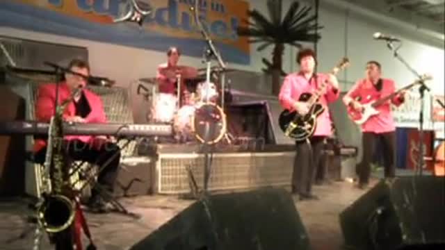 Bill Haley and the Comets Runaway Live