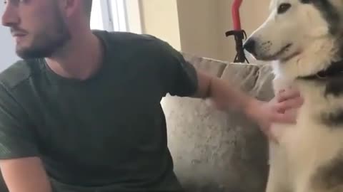 Cute Little dog wants some LOVE