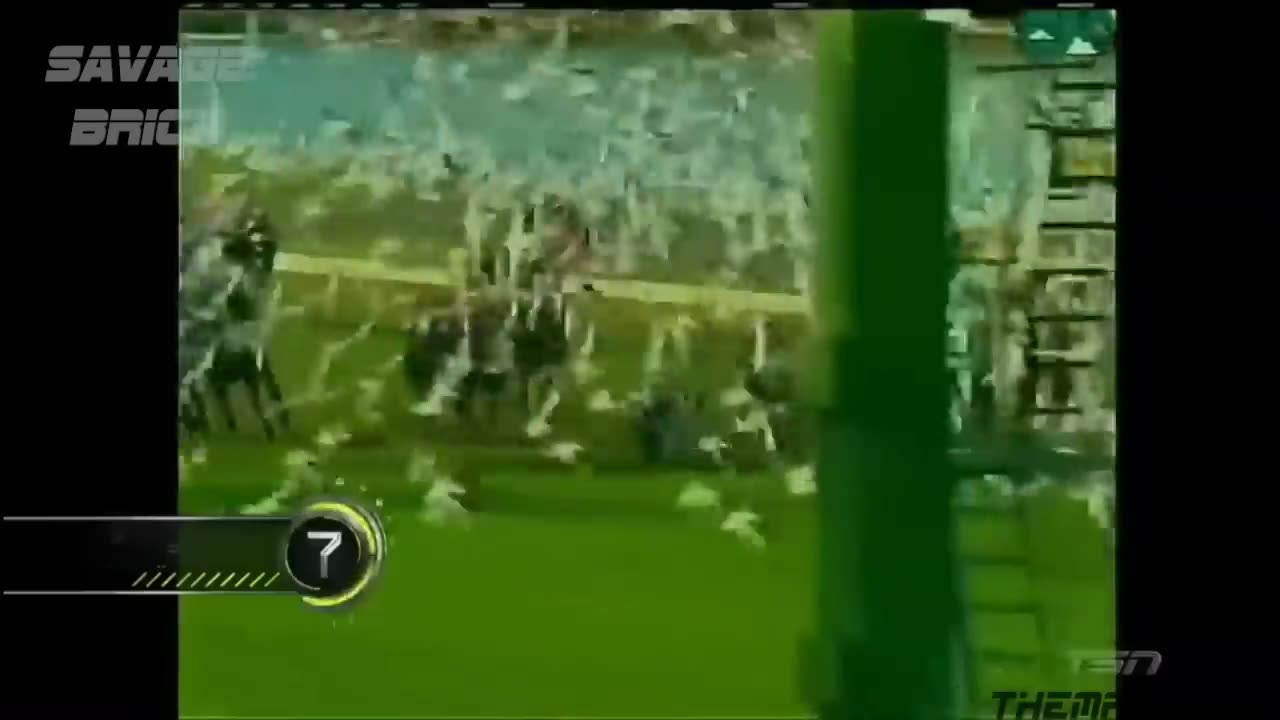 Best "Animal Interference" Moments in Sports (Cute/Funny Moments)