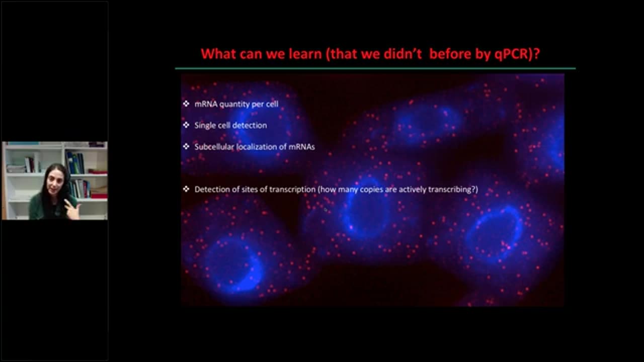 INDEPTH Academy Technical Webinar - Stefanie Rosa Introduces smFISH With Extended Q & A