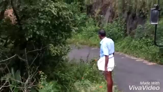 Elephant attack in Gavi. Kerala [SiGator]