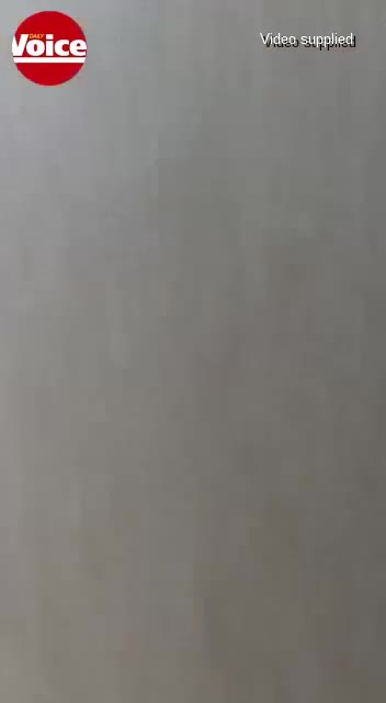 Tenants terrorise women