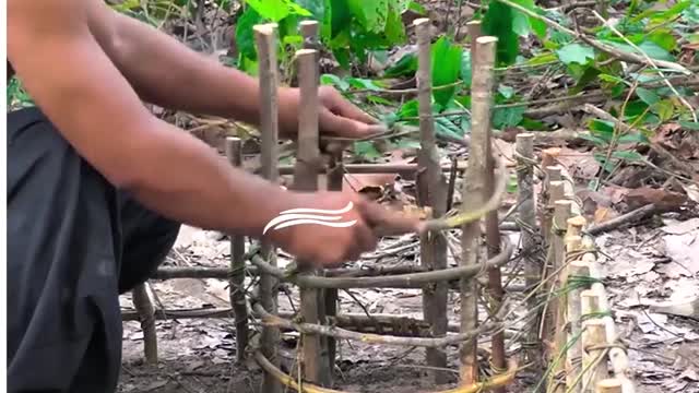 Newborn puppies get the house of their dreams